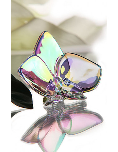 Baccarat Iridescent Orchid